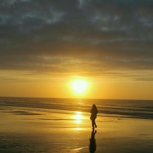 Meet your Posher, Arta